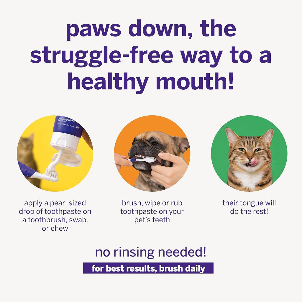 Petsmile VOHC Accepted Pet Toothpaste, London Broil 2.5 Oz, Cats + Dogs | VOHC Accepted, Calprox® Powered, Fights Plaque + Tartar, No-Brush Required, Human-Grade, 4-Month Supply, Clinically Proven