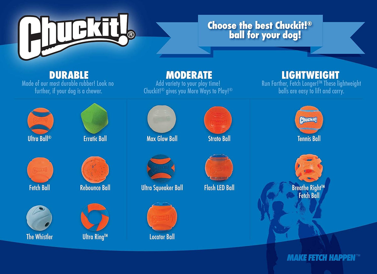 Chuckit! Rebounce Ball Dog Toy, Medium 2.5 Inch, for Dogs 20-60 lbs, Blue | Bouncy rubber build, unpredictable bounce pattern, durable outdoor construction, pack of 2 balls, great for playtime today