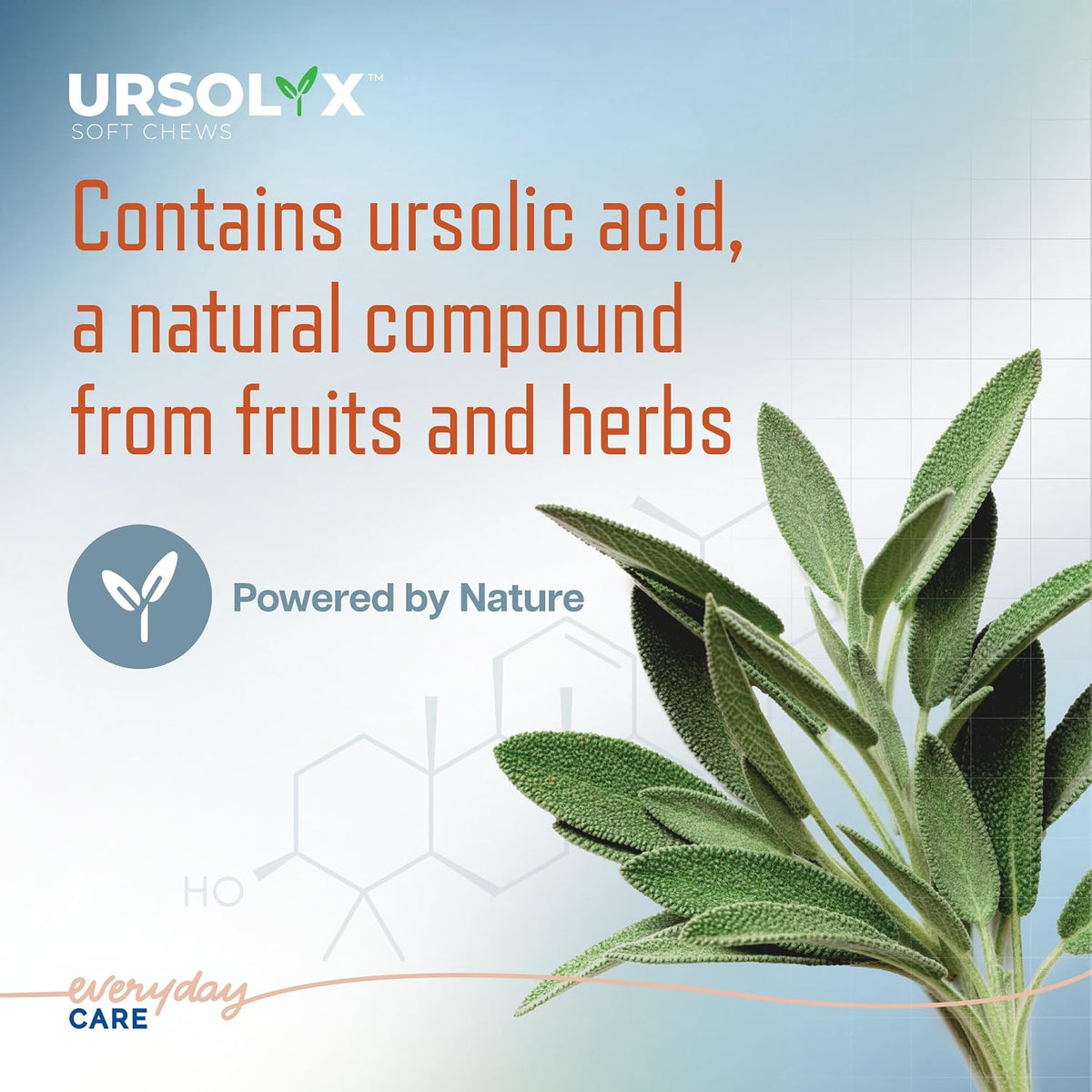 URSOLYX Soft Chews for Dogs, Large Breed, Muscle Support, 60 Count | Ursolic acid supplement to rebuild muscle strength & mobility in senior, active or recovering dogs, 2 Month Supply