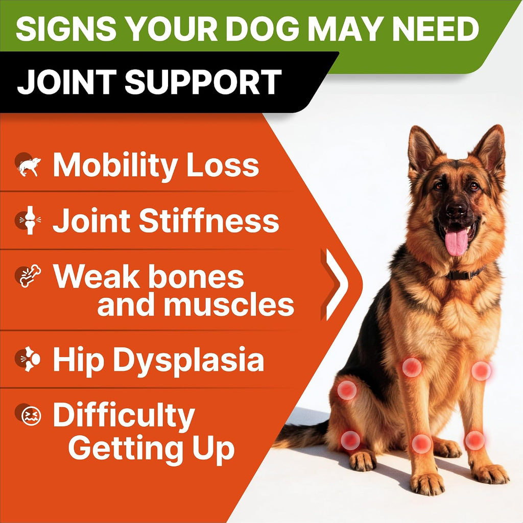 Advanced Glucosamine for Dogs, Chondroitin & MSM Hip Joint Supplement Chews | Made in USA - Supports Hip Joint Mobility w/Omega-3 - Joint Pain Relief - Chewable Treats, All Breeds - Vet-Approved (120Ct)