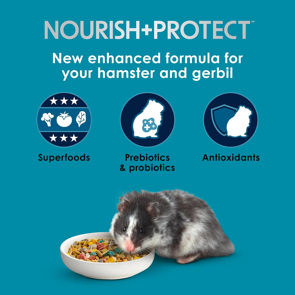Kaytee Forti-Diet Pro Health Nourish+Protect Hamster Food & Gerbil Food