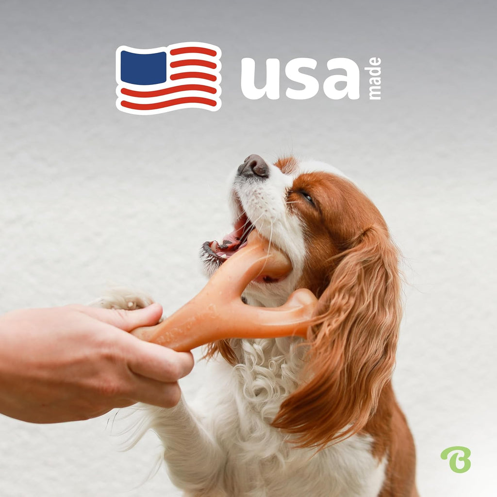 Benebone Wishbone Durable Dog Chew Toy for Aggressive Chewers, Made in USA, Small, Real Bacon Flavor | Durable, Super Chewer, Made in USA, Dog Bones, Long-Lasting, A Size for Every Dog, Keeps Them Busy
