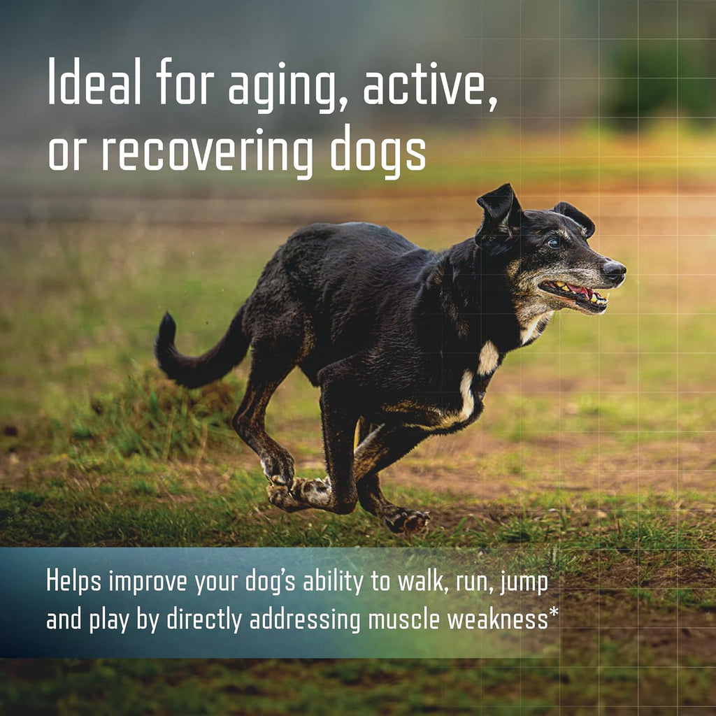 URSOLYX Soft Chews for Dogs, Large Breed, Muscle Support, 60 Count | Ursolic acid supplement to rebuild muscle strength & mobility in senior, active or recovering dogs, 2 Month Supply