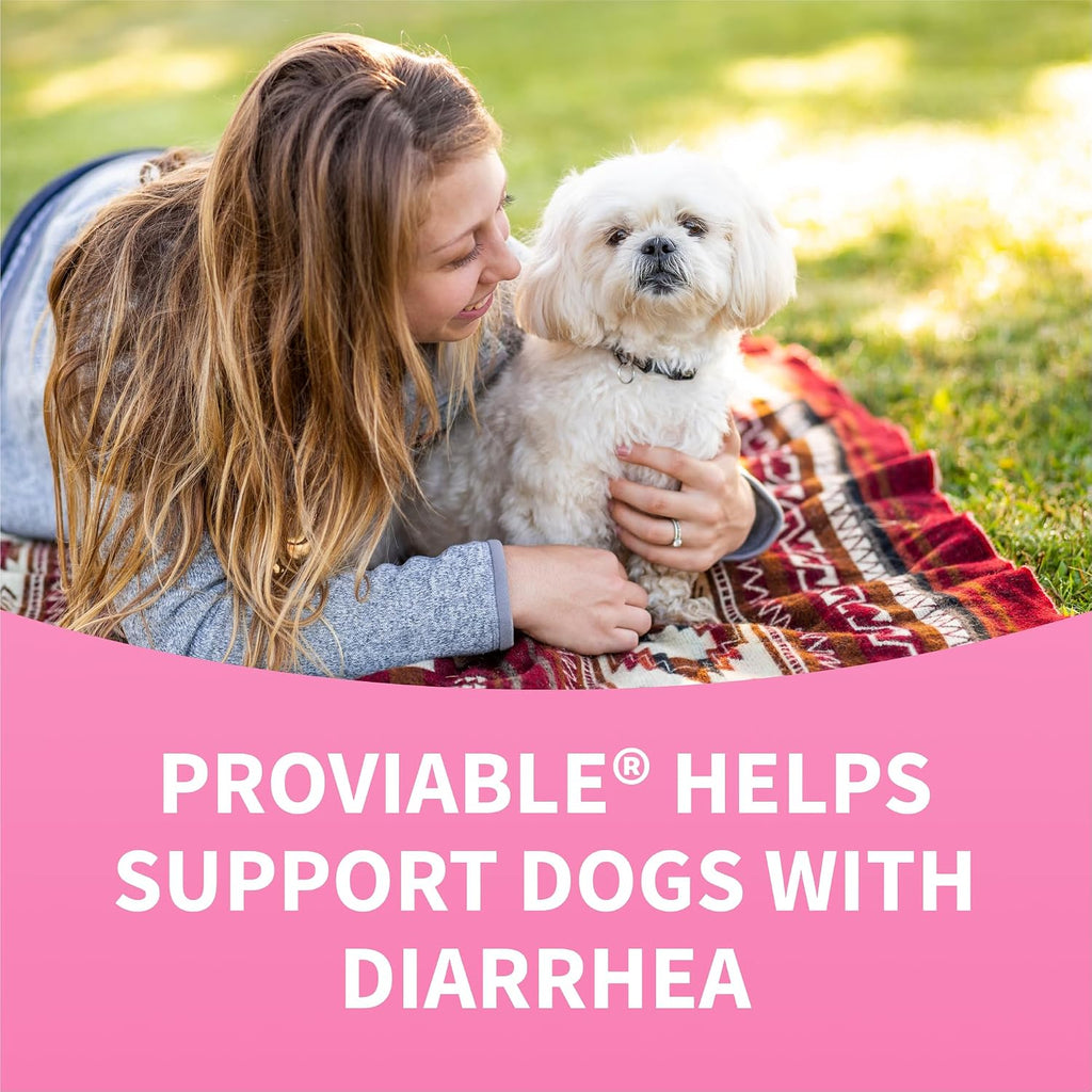 Nutramax Proviable Probiotics + Prebiotics for Dogs, Chewable Tablets, 60ct | Multi-Strain Probiotic Supplement for Dogs, Daily Support for Digestive & Gut Health, Contains Prebiotics, Chewable Tablets