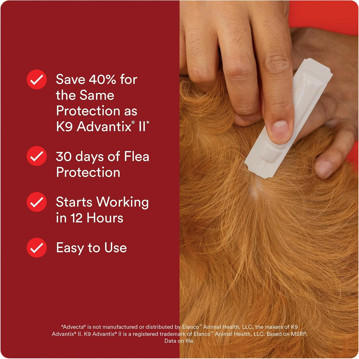 Advecta Ultra Flea and Tick Prevention for Dogs - Large Dog Flea and Tick Treatment & Control - Mosquito Repellent - Fast Acting Waterproof Topical Drops, 4 Month Supply | Imidacloprid, permethrin & pyriproxyfen kill fleas/ticks on contact; 4-dose supply;