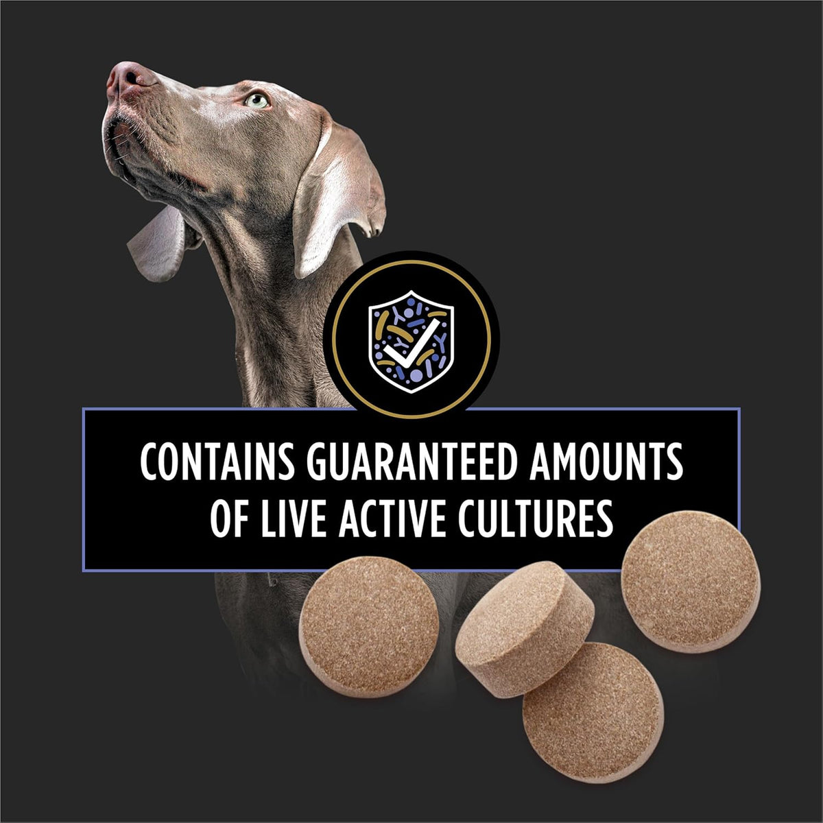 Purina Pro Plan Veterinary Supplements FortiFlora Dog Probiotics Chewable Tablets to Support Digestive and Immune Health and Occasional Diarrhea