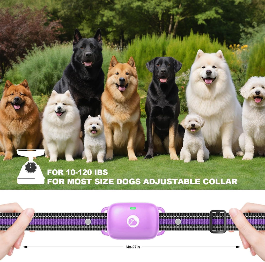 Shock Collar for Dogs 2600FT,Dog Training Collar with Remote Purple | Beep/Vibration/Shock, Security Lock, Rechargeable e Collar, IPX8 Waterproof, Shock Collar for 10-120lbs All Breed Sizes