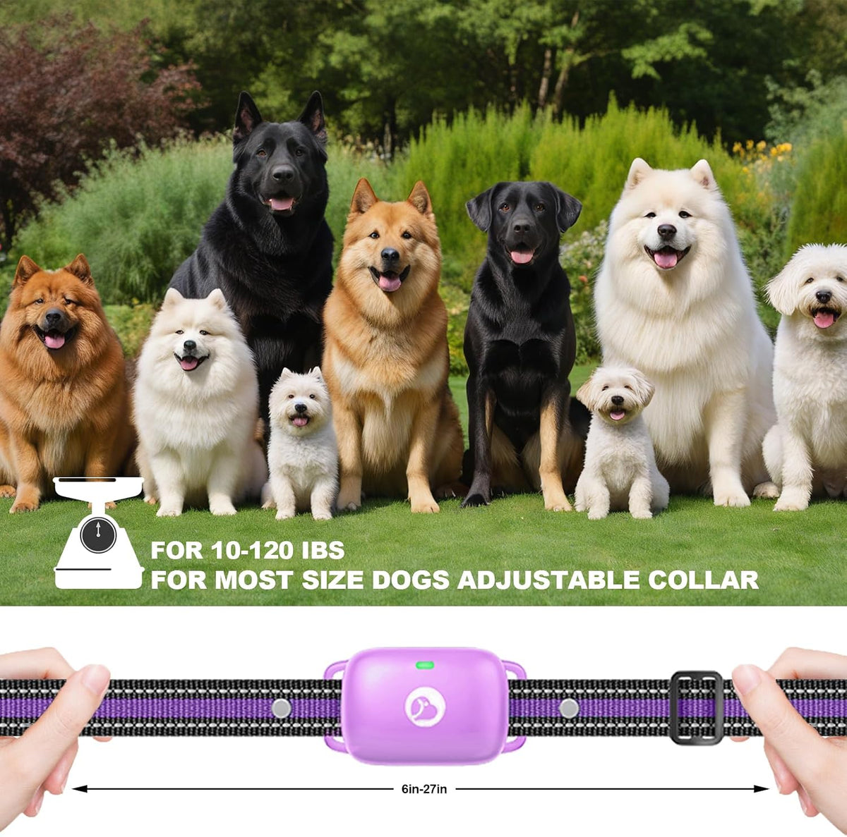 Shock Collar for Dogs 2600FT,Dog Training Collar with Remote Purple | Beep/Vibration/Shock, Security Lock, Rechargeable e Collar, IPX8 Waterproof, Shock Collar for 10-120lbs All Breed Sizes