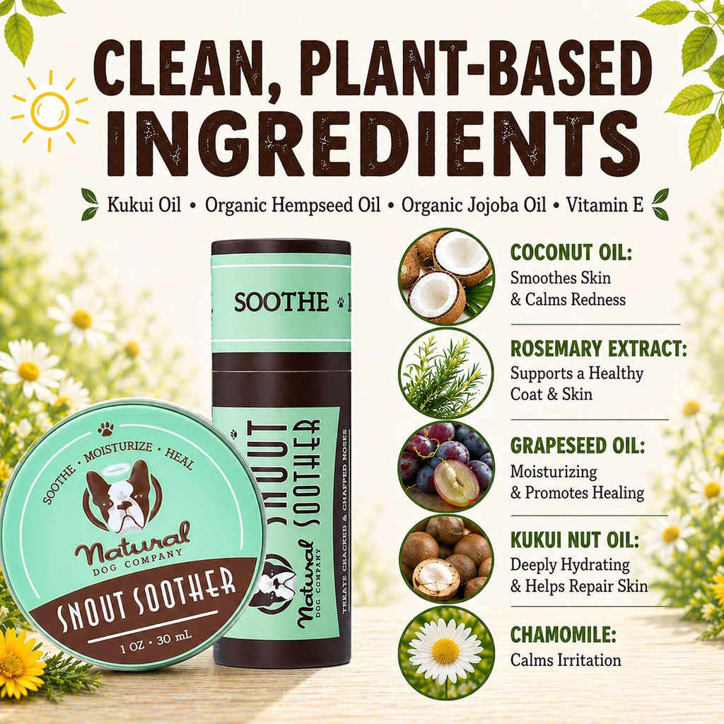 Natural Dog Company Snout Soother Dog Nose Balm, 0.15 oz Travel Stick | Moisturizer for Dry Crusty Noses, Coconut Oil & Shea Butter, Summer Care for Outdoor Dogs, Hot Weather & Beach Days