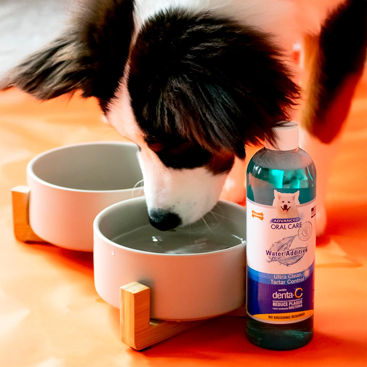 Nylabone Advanced Oral Care Pet Dental Water Additive, Liquid Tartar Remover & Breath Freshener for Dogs, Dog Teeth-Cleaning, Original Flavor, 32 oz. | Liquid tartar remover, breath freshener, original flavor