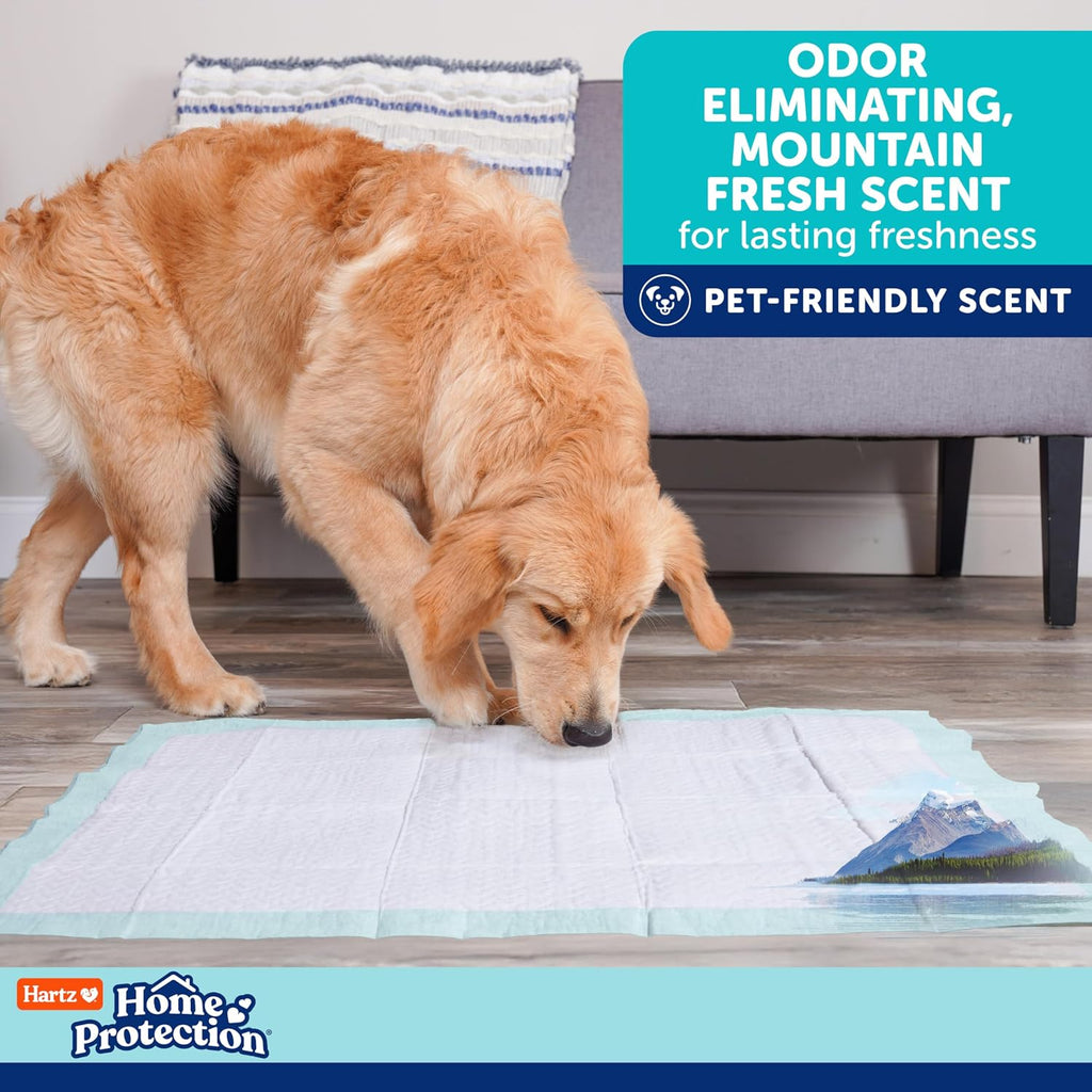 Hartz Home Protection Super Absorbent Odor Eliminating Mountain Fresh Scented No Leak Dog Pads, XXL 20 Count