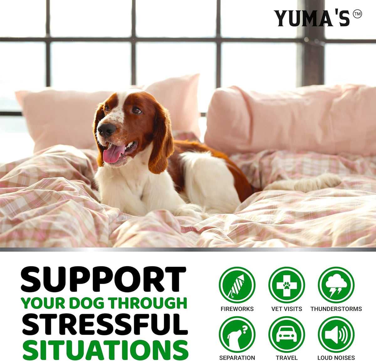 Hemp Calming Chews for Dogs - 170 Chews - Advanced Dog Calming Chews | Dog Anxiety Relief Treats - Separation, Barking, Stress & Thunderstorms - Melatonin, Hemp Oil, Valerian Root - Made in USA