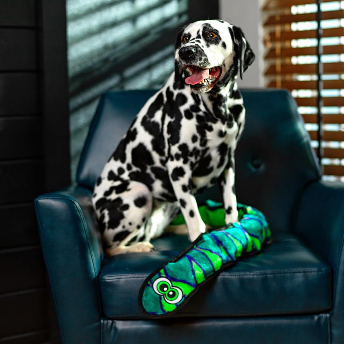 Outward Hound Durablez Tough Chew Plush Squeaky Dog Toy, Snake, 40" | 6 Jumbo Squeakers, Durable for Rowdy Play, No Stuffing, Less Mess, Interactive Fetch & Toss, Tough Chewers, Dogs & Puppies