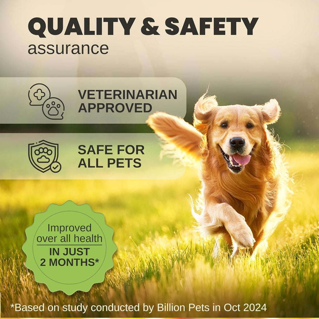 Billion Pets - Hemp Oil for Dogs and Cats - Helps with Anxiety, Pain, Stress, Sleep, Arthritis, Seizures Relief - Hip and Joint Support - Calming Drops