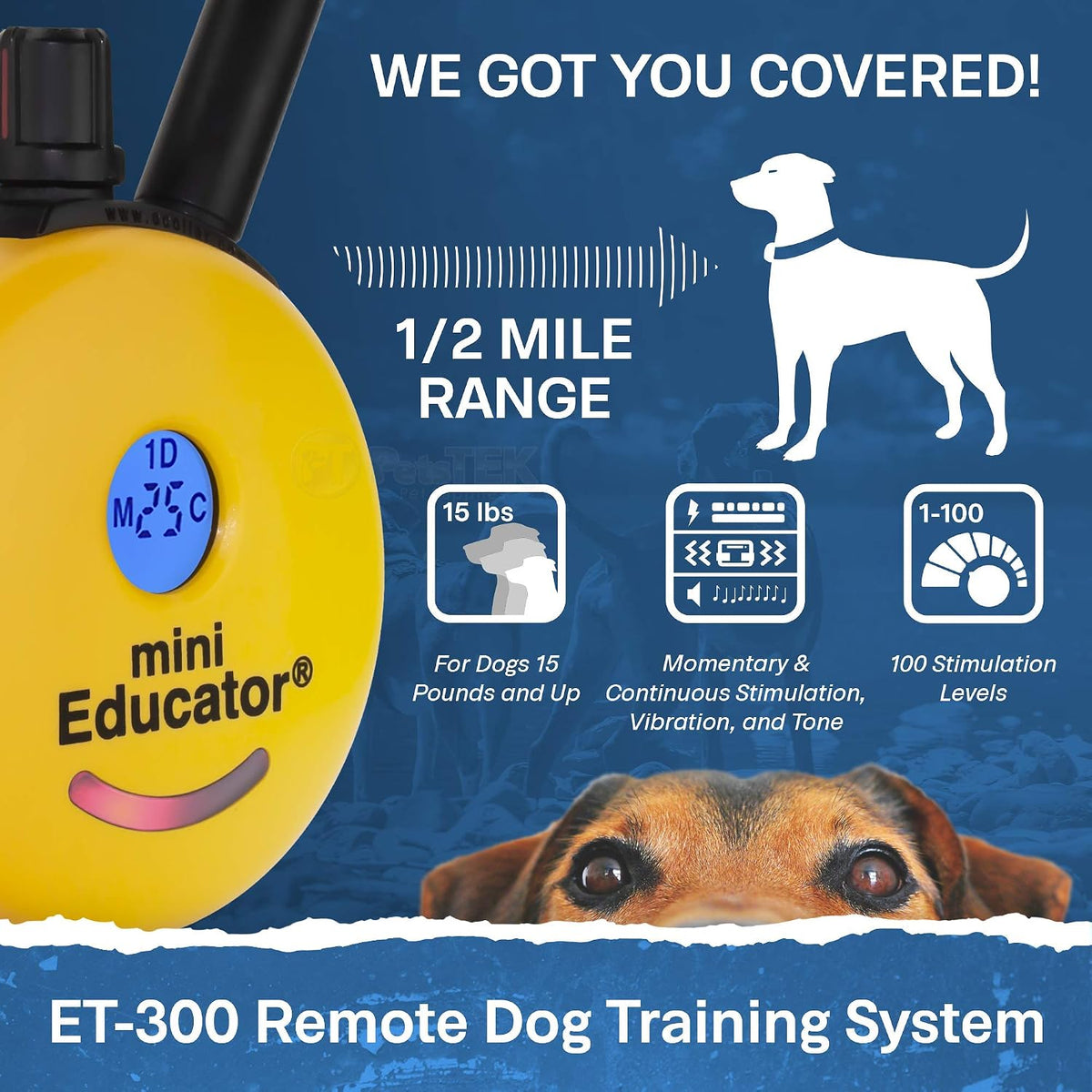 Educator ET-300 Mini E Collar for Dog Training with Remote - 1/2 Mile Range, Waterproof, 100 Blunt Stimulation Levels, Tone or Vibration Mode, Night Light Tracking for Small, Medium & Large Dogs