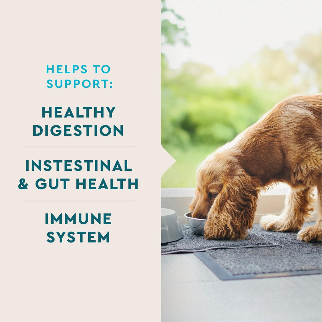 VetIQ Probiotic Supplement for Dogs, Dog Probiotics for Digestive Health, Nourishes Gut Bacteria and Supports Bowel Function, Hickory Smoke Flavor, Made in the USA, 60 Count | Nourishes gut bacteria & supports bowel function; daily digestive probiotic che
