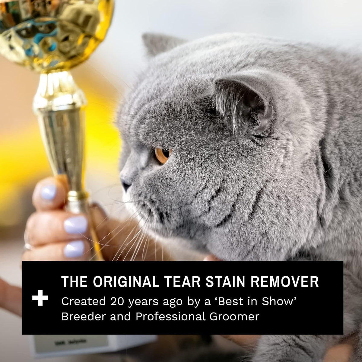 Eye Envy Tear Stain Wipes for Cats. Textured to Gently Clean Tear Stains. Natural Formula. Recommended by Persian & Exotic Breeders, Groomers. USA Made. 60 Cat Eye Wipes