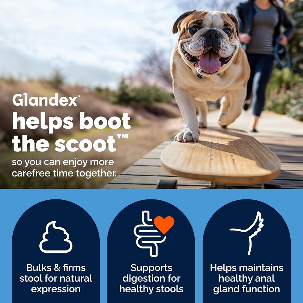 Vetnique Glandex for Dogs Anal Gland Powder, Scooting Fiber 5.5oz Beef | Boot the Scoot Support for Scooting & Fishy Odor, Pumpkin Seed & Apple Pectin Fiber, Probiotics, Bromelain, Food Topper