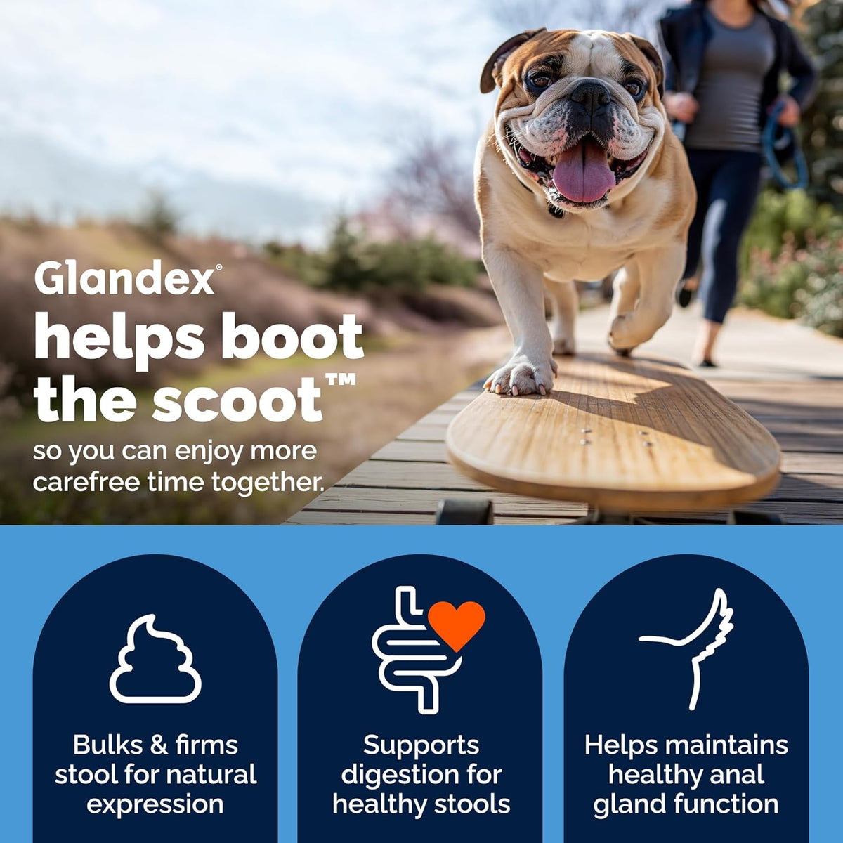 Vetnique Glandex for Dogs Anal Gland Powder, Scooting Fiber 5.5oz Beef | Boot the Scoot Support for Scooting & Fishy Odor, Pumpkin Seed & Apple Pectin Fiber, Probiotics, Bromelain, Food Topper