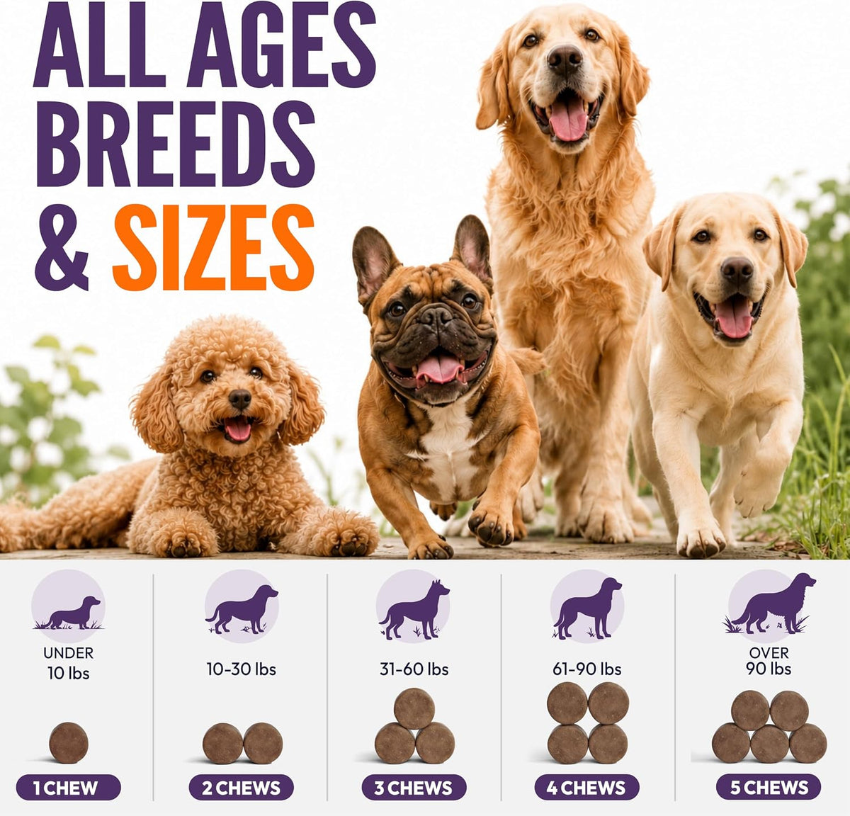 Melatonin for Dogs - 170 Dog Melatonin Calming Chews for Small & Large Dogs | Natural Hemp Dog Sleep Aid - Puppy Sleeping Pills for Anxiety, Stress, Separation, Barking & Fireworks - Made in USA