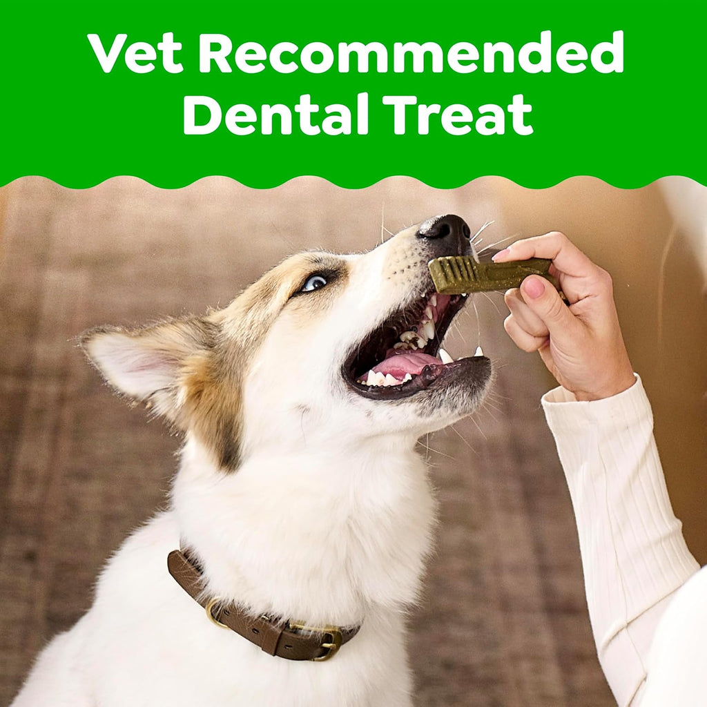 Greenies Regular Dental Dog Treats Flavor, Variety Pack, 36 Count | Veterinarian-recommended, Original, Blueberry, Sweet Potato flavors, (3) 12 oz. packs, for dogs 25-50 lbs, freshens breath