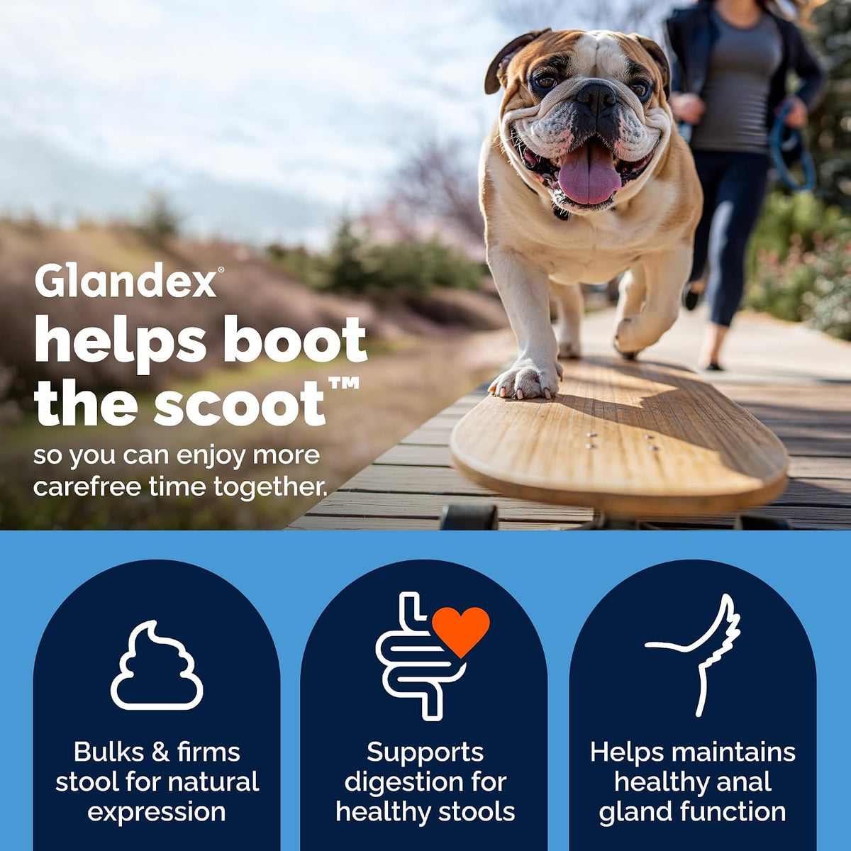 Vetnique Glandex for Dogs Anal Gland Chews 60ct Pumpkin + Digestive Enzymes | Anal Gland Dog Treats, Boot the Scoot + Fishy Odor Support, Fiber, Probiotics, Quercetin + Apple Pectin, Peanut Butter