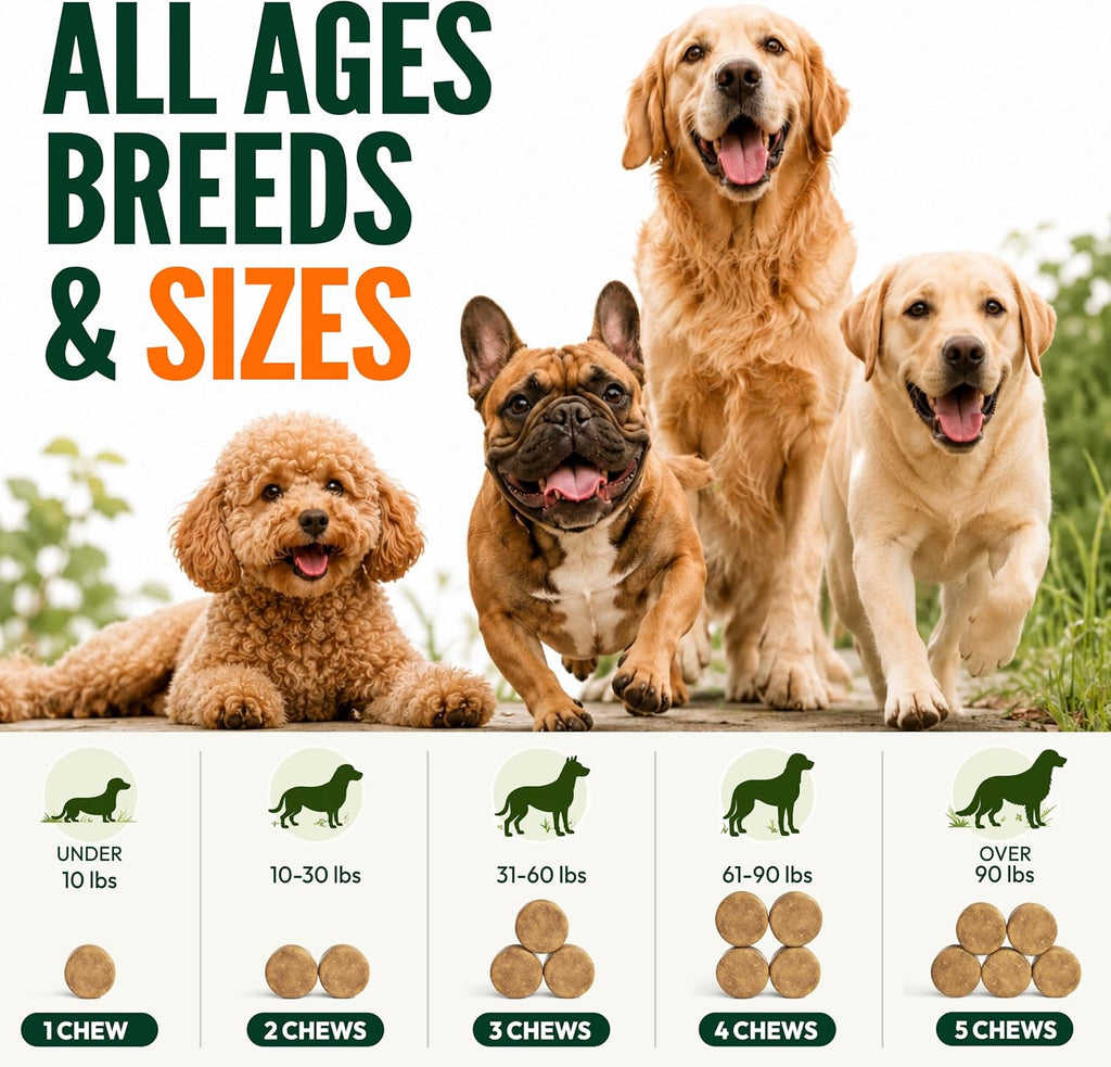 Glucosamine for Dogs - 250 Chews with Chondroitin, Hip and Joint Supplement | MSM - Turmeric - Omega 3 - Joint Pain Relief - Advanced Dog Health Support for Large, Medium & Small Breeds - Made in USA