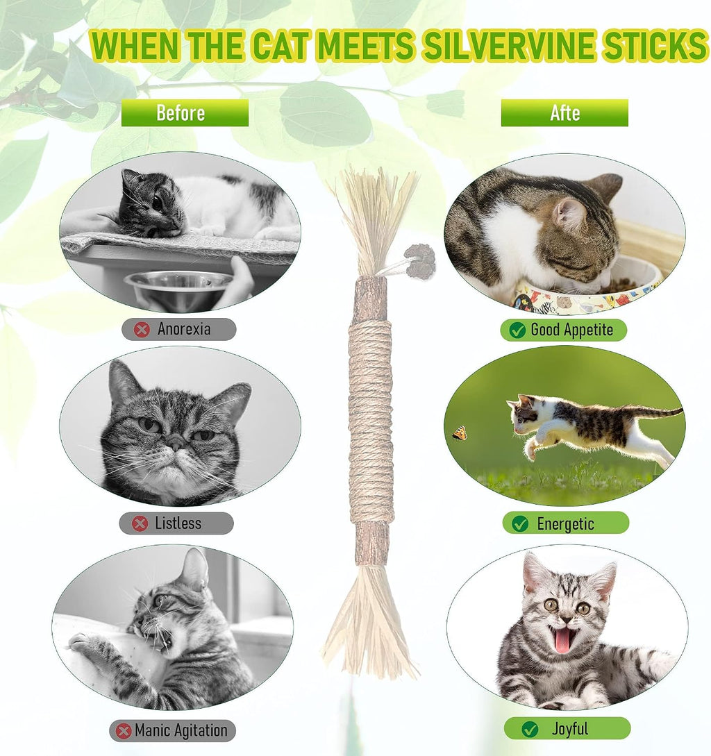 BAWAN Silvervine Sticks Cat Chew Toys for Indoor Cats Dental Care Teeth Cleaning, Natural Kitten & Cat Teething Toys for Health, Cat Chew Stick Suitable for All Breeds of Aggressive Chewers Cat