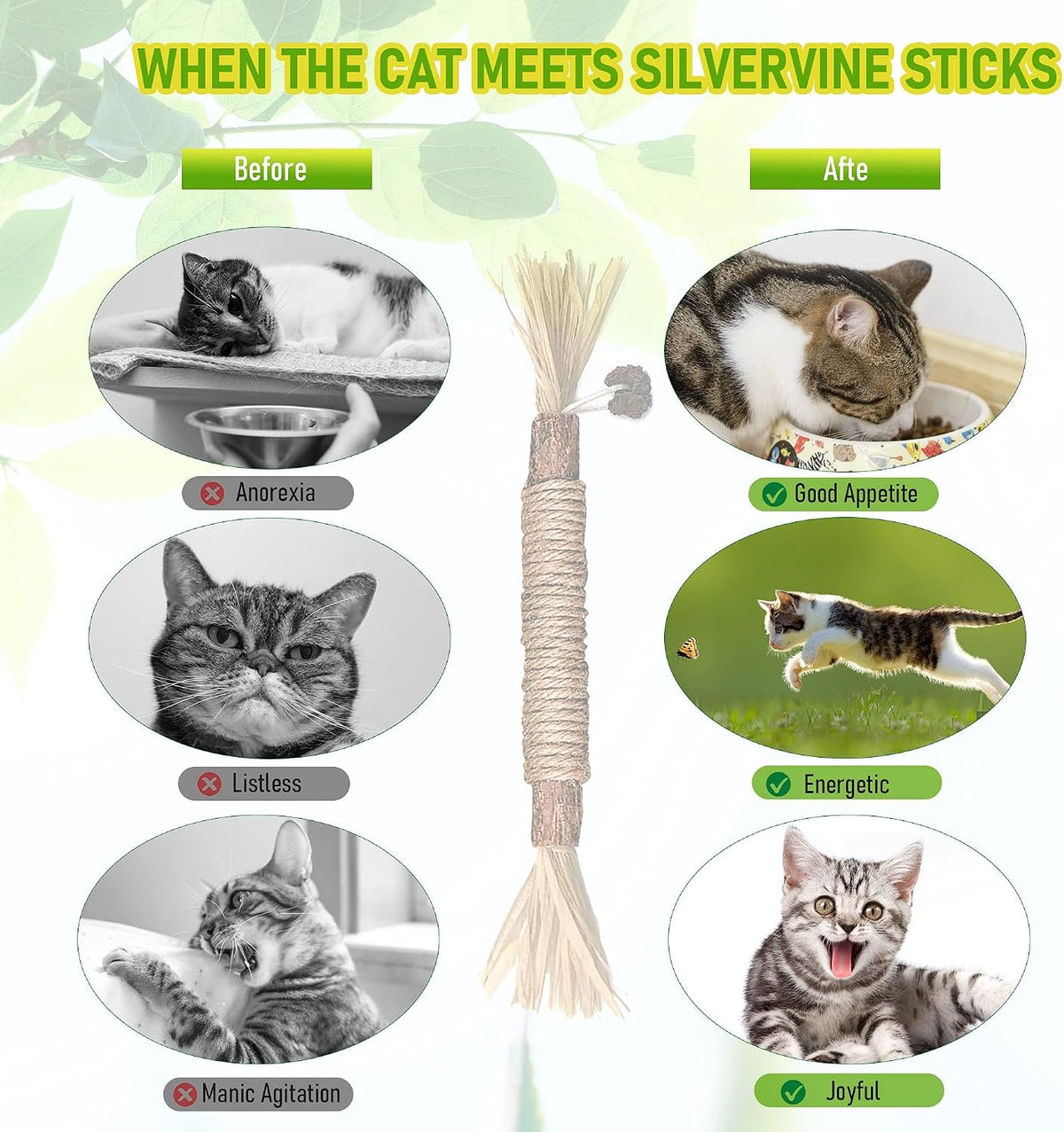 BAWAN Silvervine Sticks Cat Chew Toys for Indoor Cats Dental Care Teeth Cleaning, Natural Kitten & Cat Teething Toys for Health, Cat Chew Stick Suitable for All Breeds of Aggressive Chewers Cat