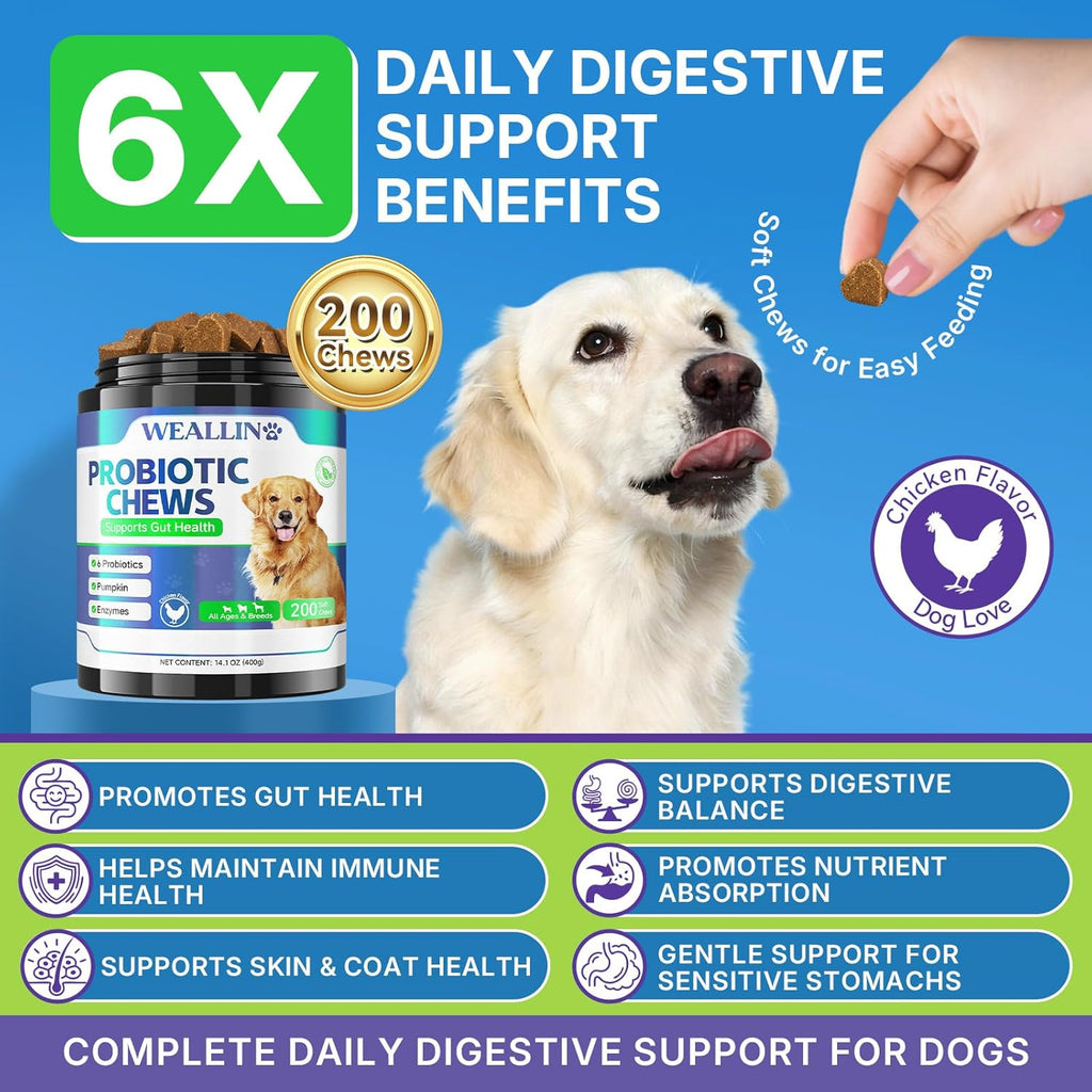 Probiotics for Dogs, Dog Probiotics for Yeast, Itchy Skin and Itchy Ears | WEALLIN Dog Probiotic Chews for Gut & Digestive Support, Diarrhea & Gas Treatment with Digestive Enzyme, Prebiotics & Pumpkin