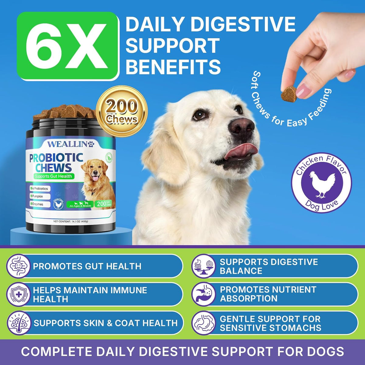 Probiotics for Dogs, Dog Probiotics for Yeast, Itchy Skin and Itchy Ears | WEALLIN Dog Probiotic Chews for Gut & Digestive Support, Diarrhea & Gas Treatment with Digestive Enzyme, Prebiotics & Pumpkin