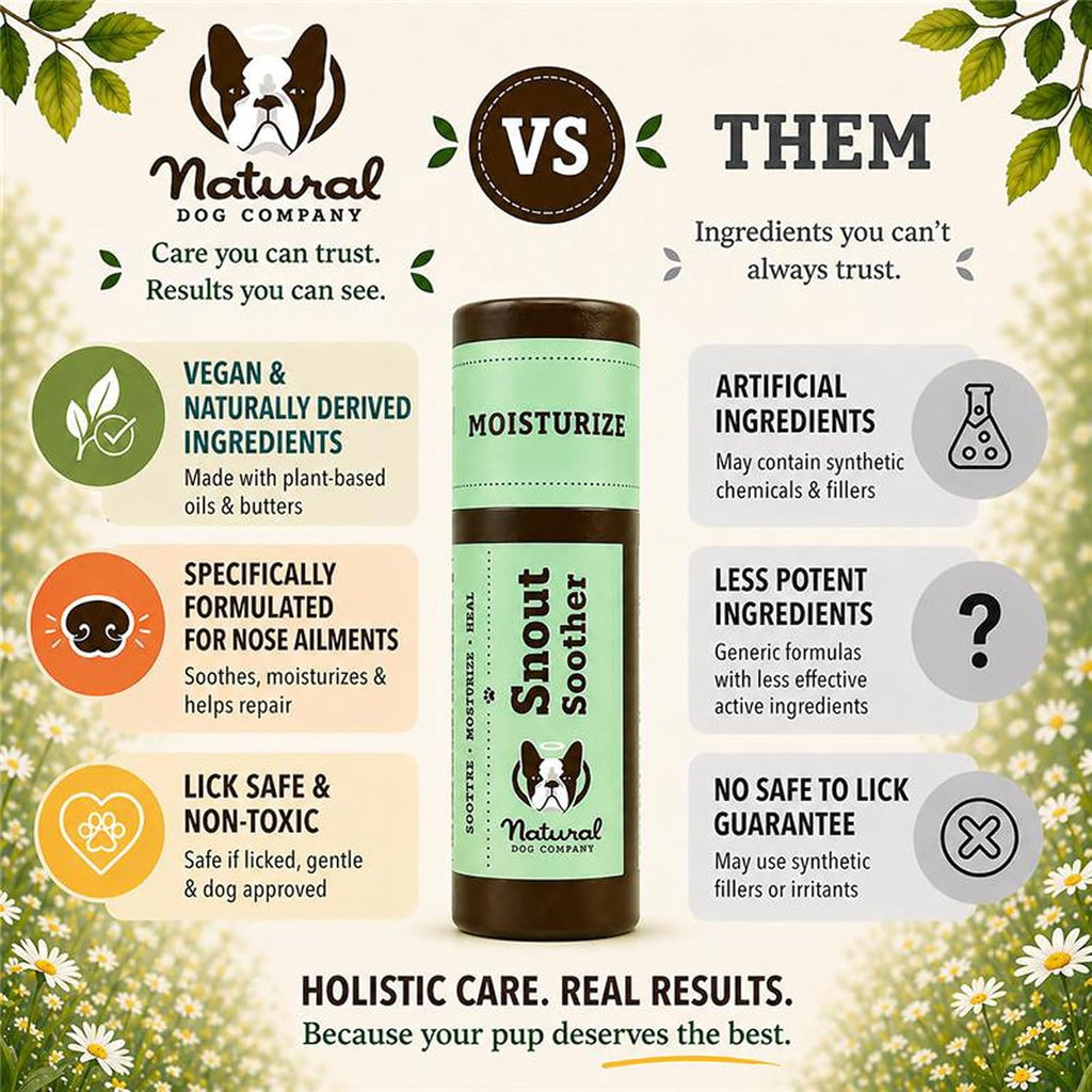Natural Dog Company Snout Soother Dog Nose Balm, 0.15 oz Travel Stick | Moisturizer for Dry Crusty Noses, Coconut Oil & Shea Butter, Summer Care for Outdoor Dogs, Hot Weather & Beach Days