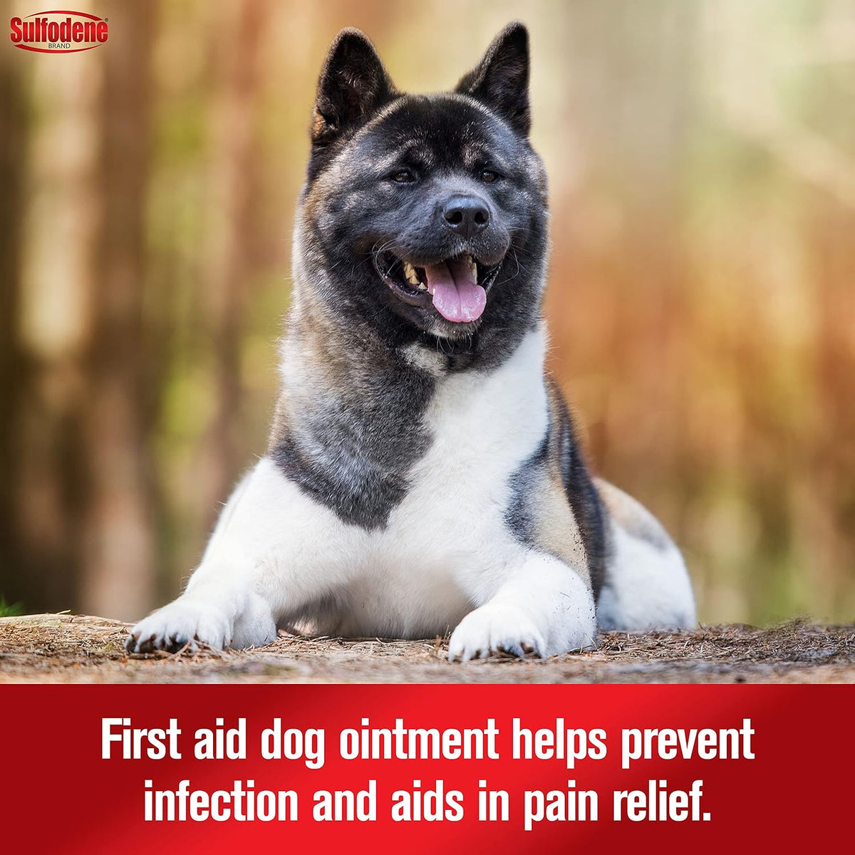 Sulfodene Wound Care 3-Way Ointment for Dogs & Puppies, Soothes Cuts, Scrapes, Skin Irritation, and Redness, First Aid Relief that Supports Skin Healing and Comfort, 2 oz | Vet Recommended dog first aid for cuts, scrapes, bites; helps skin heal