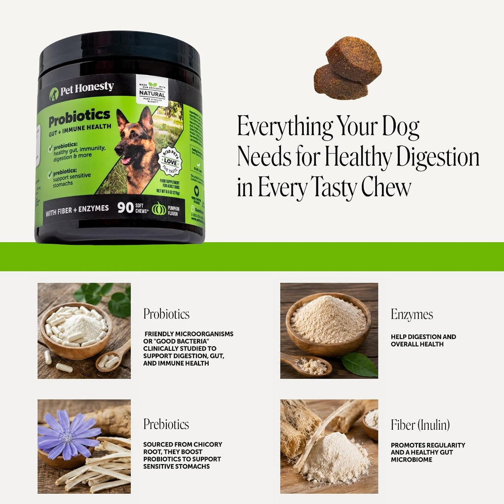 Pet Honesty Dog Probiotics Chews for Gut & Digestive Health, 90ct, Pumpkin | Vet recommended probiotics for dogs with digestive enzymes, prebiotics and fiber for regularity, gentle on sensitive stomachs