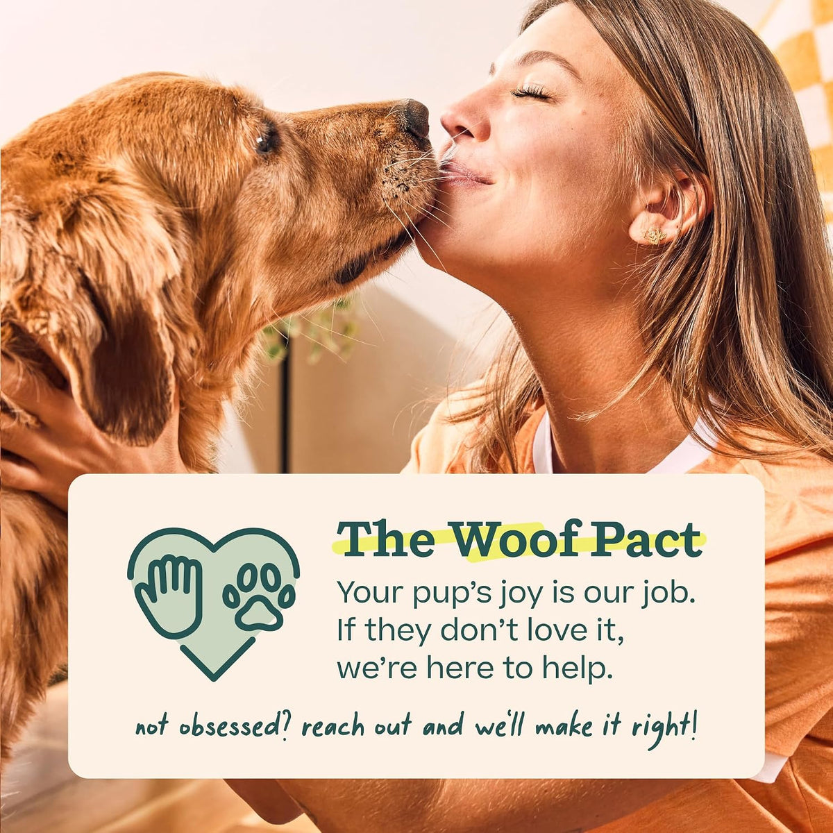 WOOF Bite n' Brush Dog Dental Chew Toy Refills, Chicken, 18 Count | Dental refill treats, chicken & beef options, oral care ingredients, reusable with Bite n' Brush