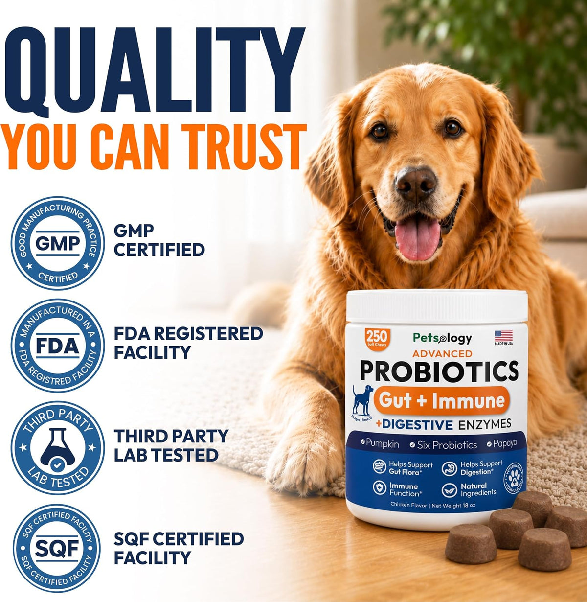 Probiotics for Dogs - 250 Dog Probiotics Chews - Digestive Enzymes Support | Gut Health Support, Diarrhea, Gas & Constipation Relief Supplement, Itchy Skin, Allergies & Yeast Balance, Made in USA