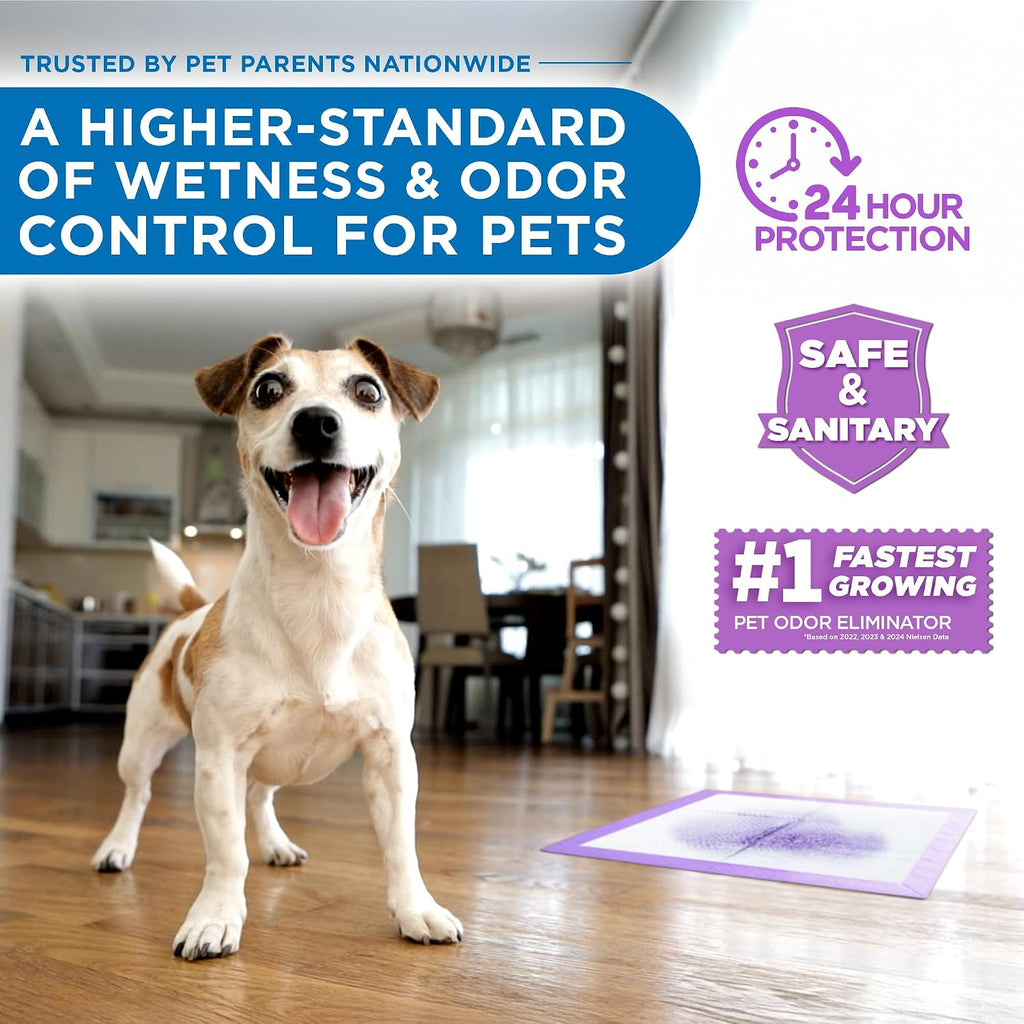 POOPH® Potty Pads™ 24 x 24 in, 50 Count | Disposable 24 x 24 in potty pads with absorbent core and odor control. Includes 50 pads