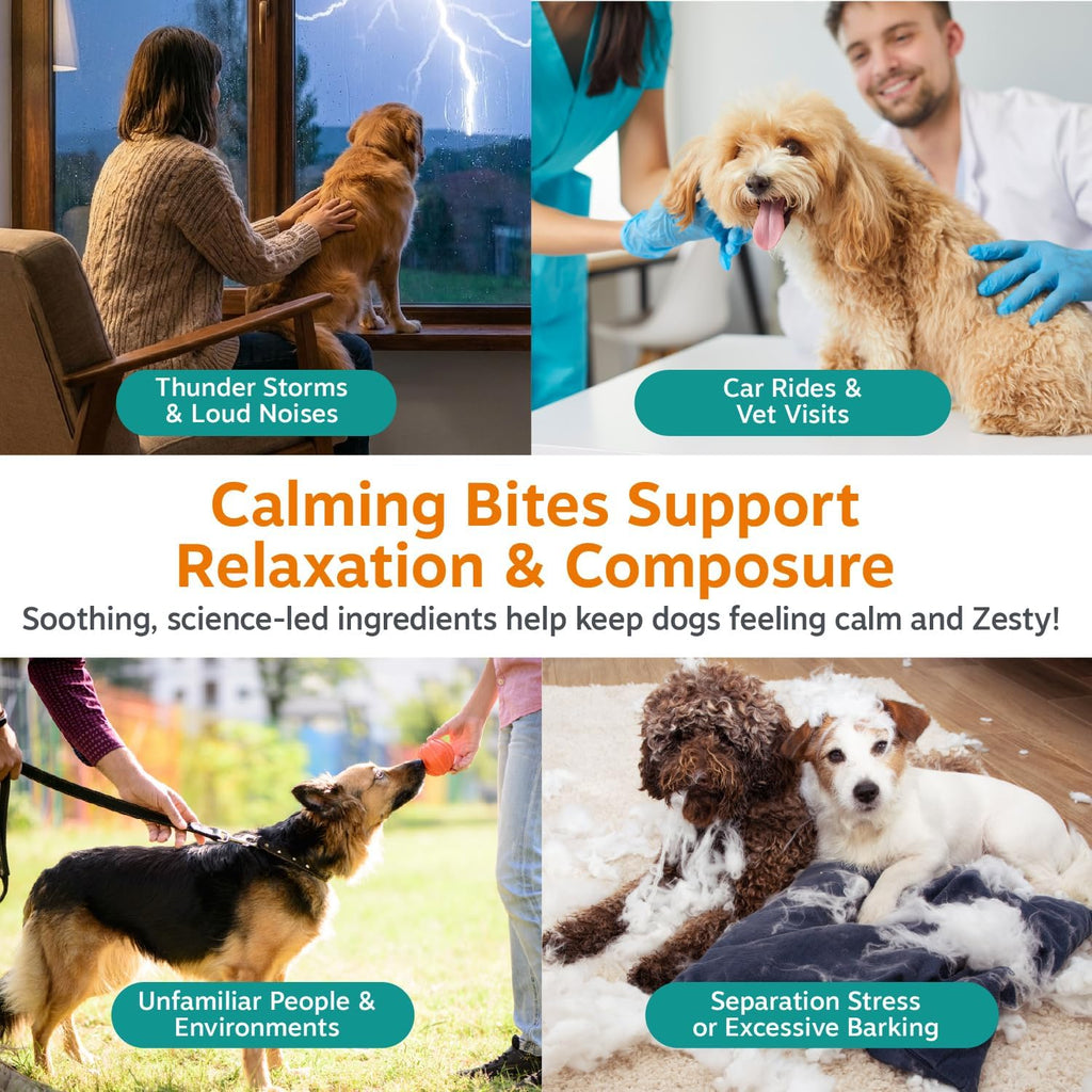 Zesty Paws Calming Chews for Dogs - Dog Calming Supplement, PB, 90 Ct