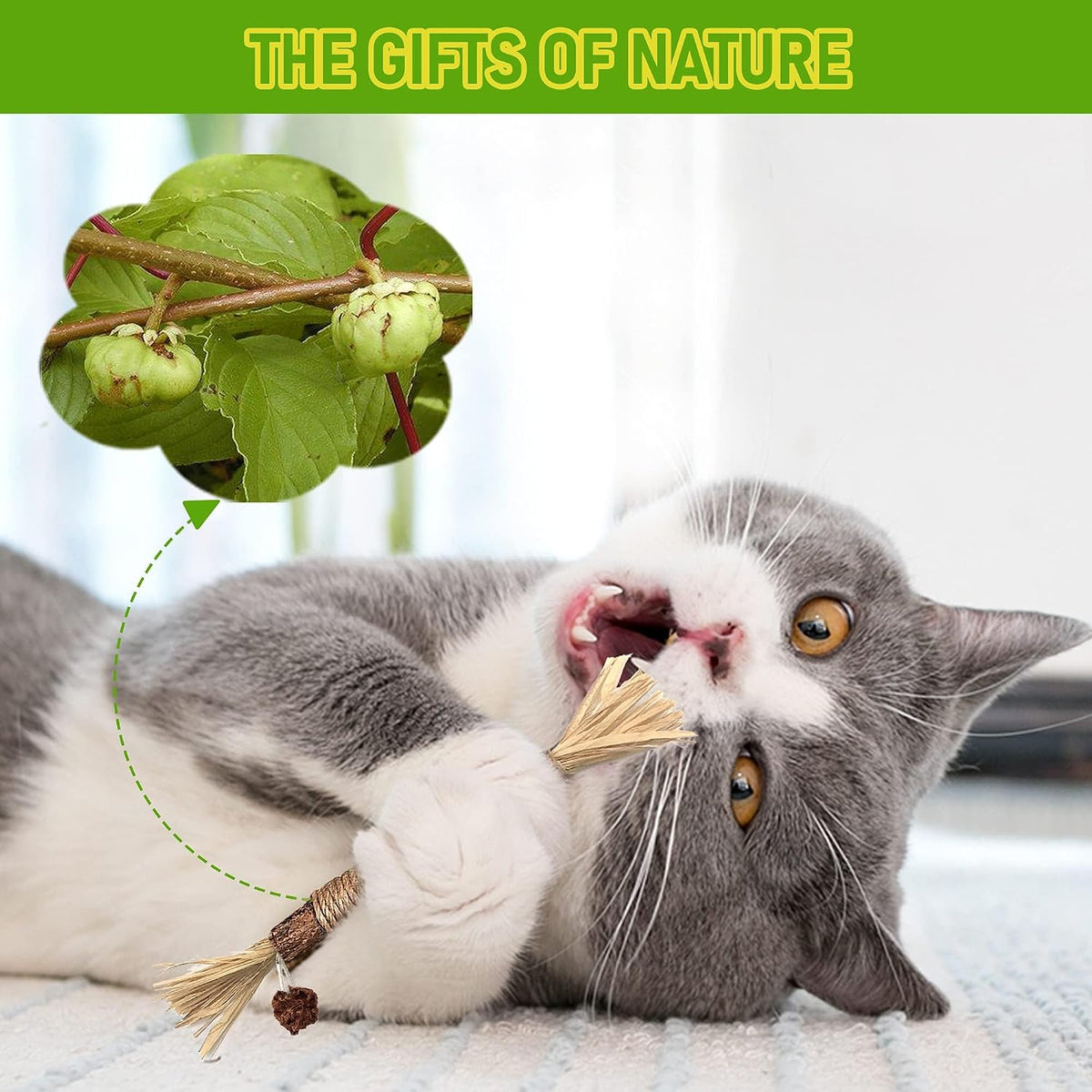 BAWAN Silvervine Sticks Cat Chew Toys for Indoor Cats Dental Care Teeth Cleaning, Natural Kitten & Cat Teething Toys for Health, Cat Chew Stick Suitable for All Breeds of Aggressive Chewers Cat