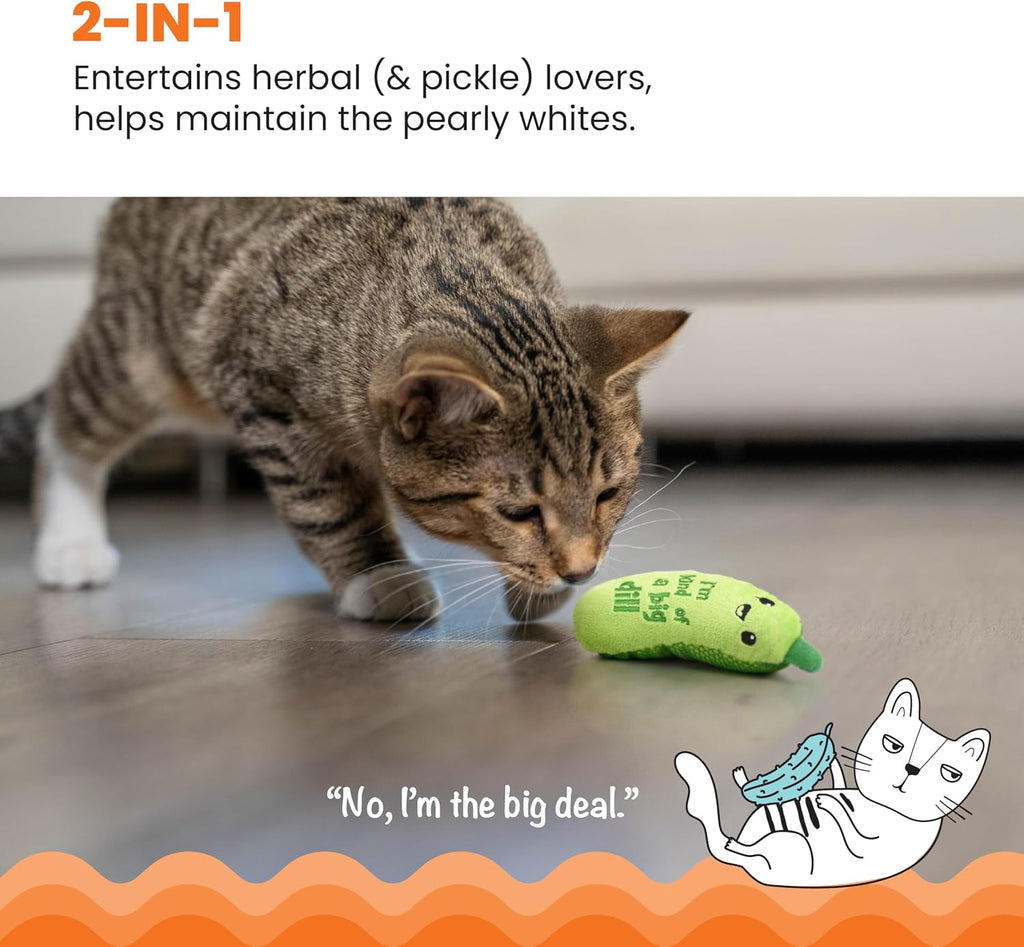 Catstages Crunchy Pickle Kicker Chew Cat Toy, Catnip & Dental Mesh, 6.5"
