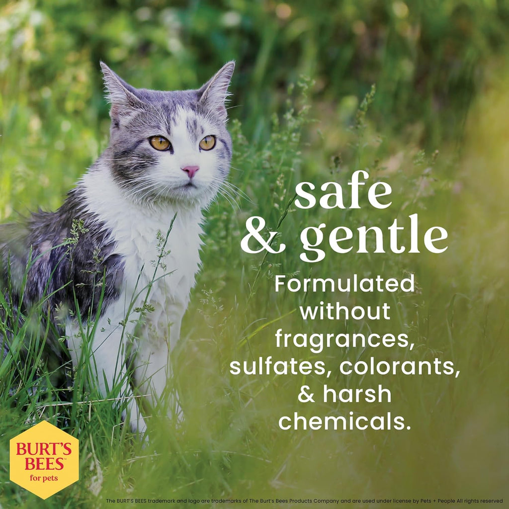 Burts Bees for Pets Hypoallergenic Cat Shampoo, Unscented, 10 Fl Oz