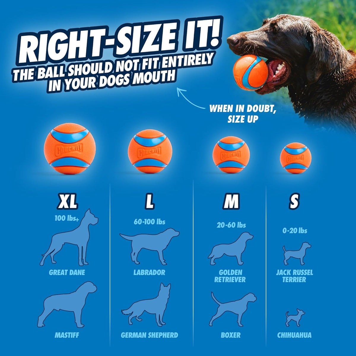 Chuckit! Ultra and Rugged Dog Balls, High-Bounce Fetch, Medium, Set of 3 | This Set of 3 Interactive Fetch Balls Offers High-Bounce, Durable Play for Medium-Sized Dogs Who Love a Good Chase