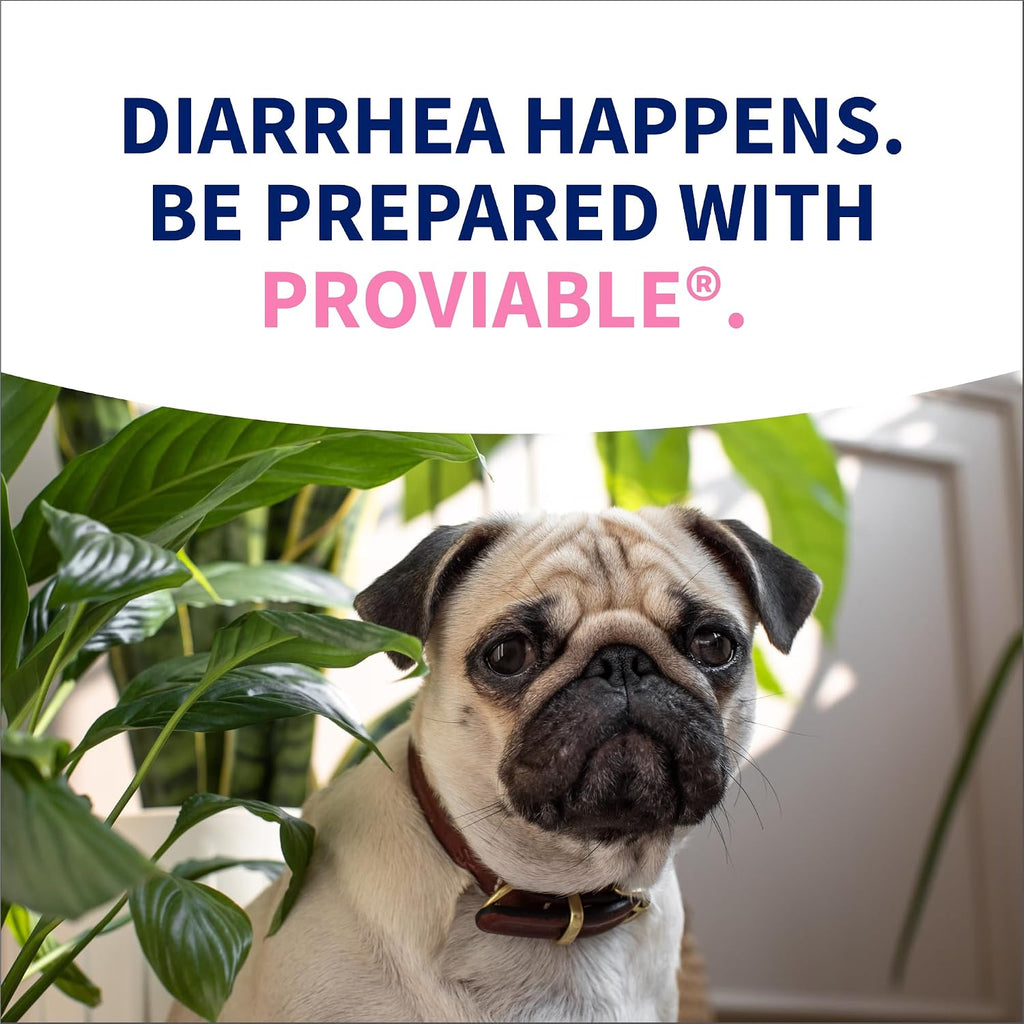 Nutramax Proviable Probiotics + Prebiotics for Dogs, Diarrhea Support Kit