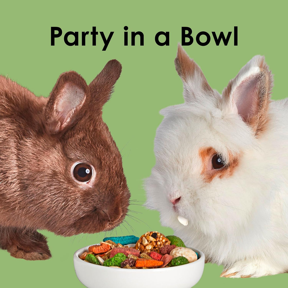Kaytee Fiesta Rabbit Food, Supports Dental Health and Digestion