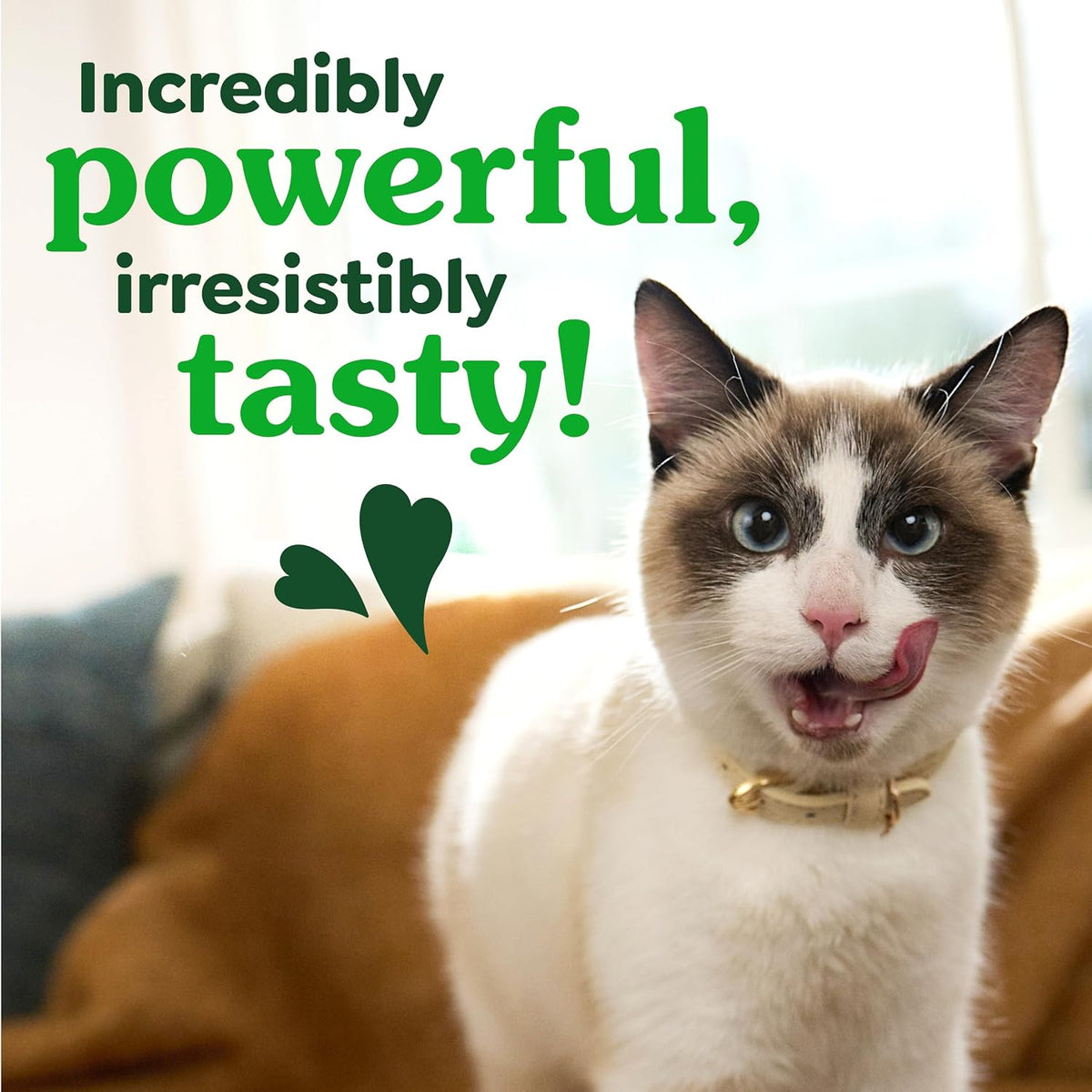 Greenies Feline Natural Crunchy Dental Cat Treats, Salmon Flavor, 9.75 oz