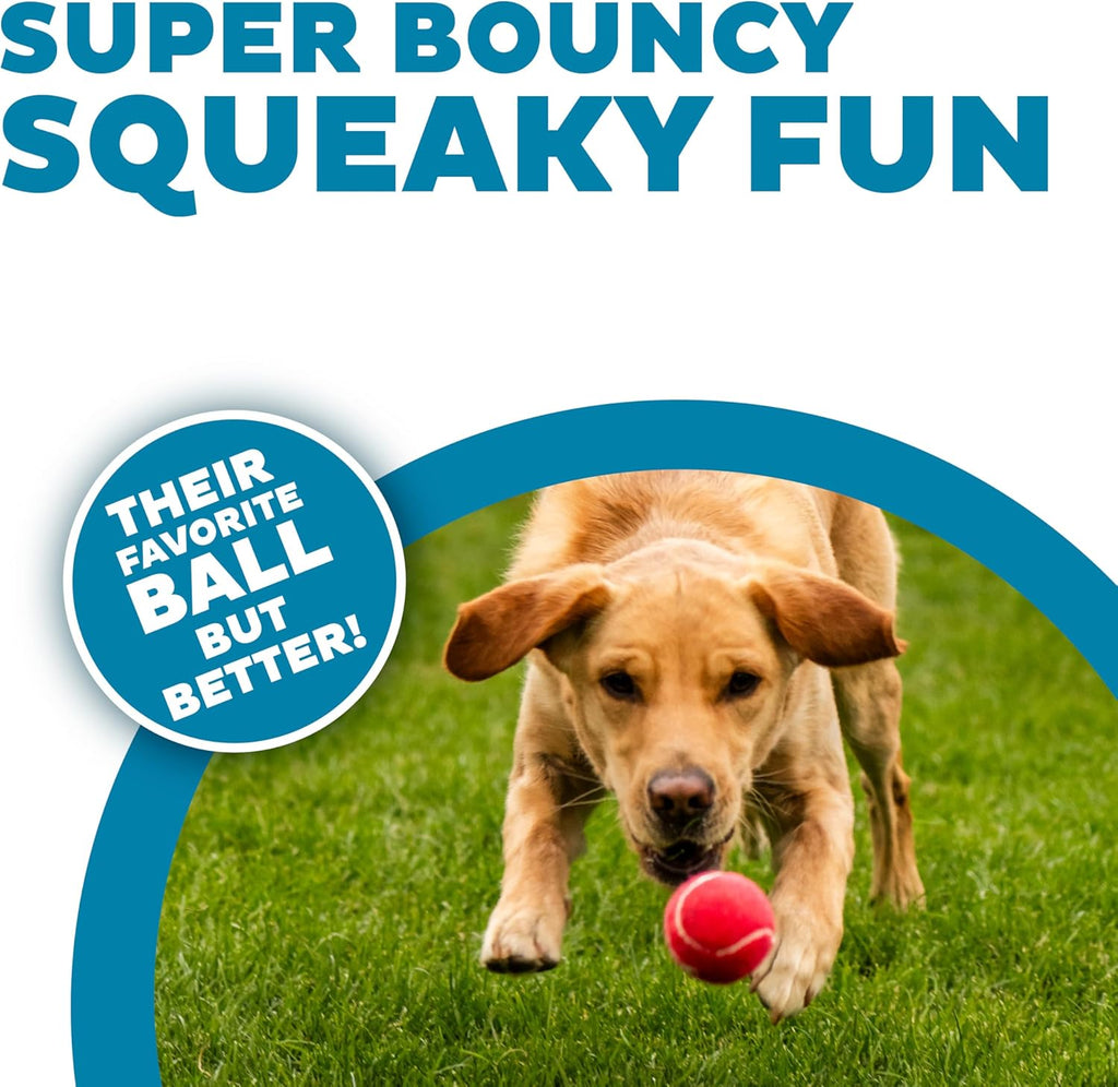 Outward Hound Squeaker Ballz Tennis Ball Dog Toy, Medium, 2.5", 4‑Pack | Squeaks & Bounces, Bright Colors, Interactive Fetch & Training, Indoor Outdoor, Moderate Chewers, Medium Dogs (Under 50 lbs)