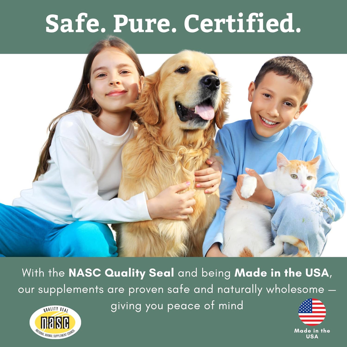 Organic Dog Vitamins, 1 Lb, 45 Scoops | Daily Dog Multivitamin with Prebiotics, Probiotics for Immune Support, Skin Coat, Digestion, & Joint Health - Canine Complete