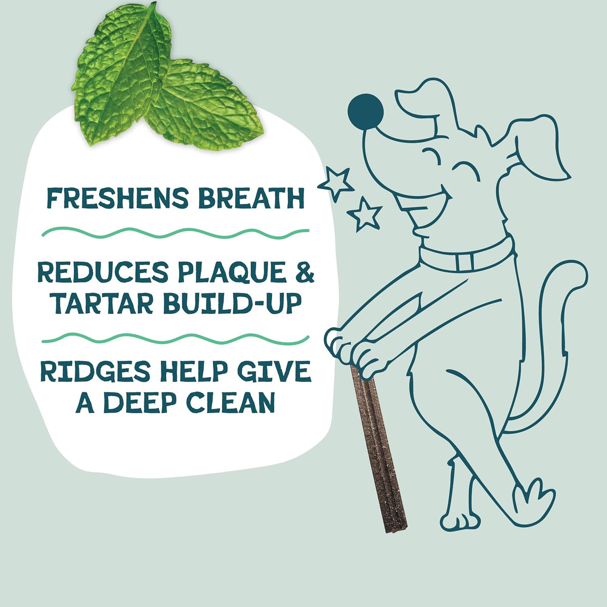 Shameless Pets Blueberry & Mint Dental Chews for Dogs, 8 Chews - Natural Dog Teeth Cleaning Treats with Fresh Breath Benefits | Grain-Free Dental Sticks for Small, Medium & Large Dogs