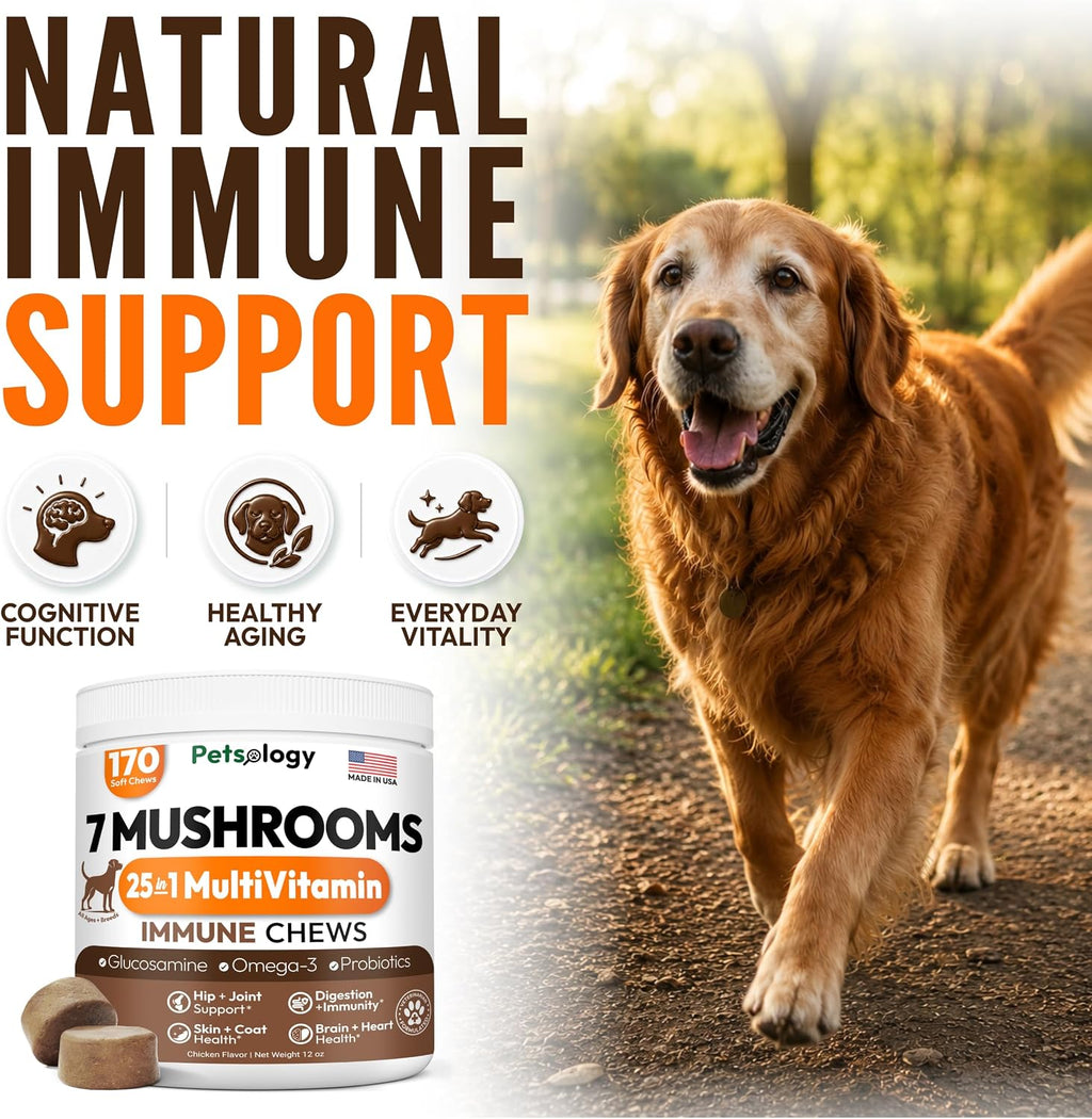 Turkey Tail Mushroom for Dogs - 170 Chews - Lion's Mane, Shiitake & Reishi
