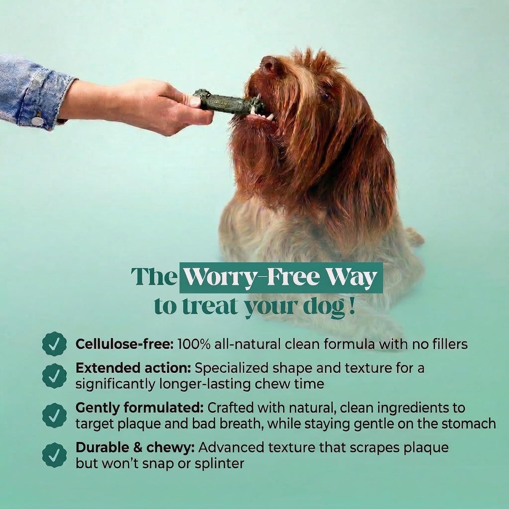Pet Honesty Brush Buddies Vet Backed Dog Dental Chews, 15 Count | Award winning dog teeth cleaning chews for dogs 25-50 lbs, last 2x longer, no cellulose fillers, reduce plaque & tartar